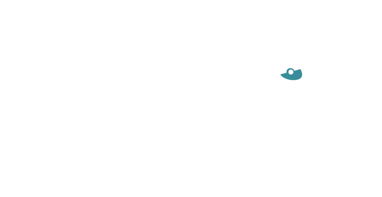 Frontline Fundraising